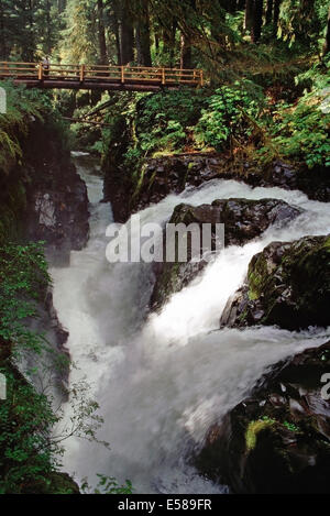 Sol Duc fällt, Olympic Nationalpark, Washington State Stockfoto