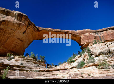 Owachomo Brücke, Natural Bridges National Monument in Utah Stockfoto