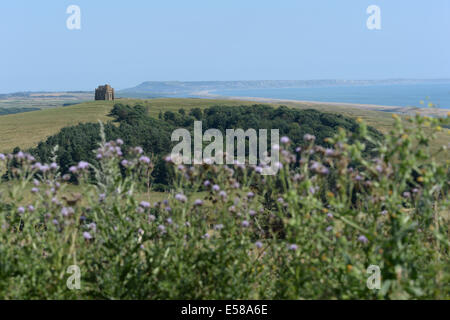 St. Catherines Chapel, in der Nähe von Addotsbury, Dorset mit der Isle of Portland im Hintergrund. Stockfoto