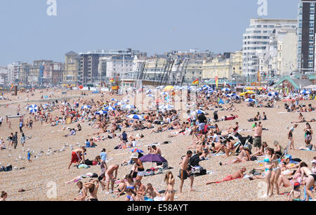 Brighton, Sussex, UK. 23. Juli 2014. Brighton Beach ist bei heißem Wetter verpackt, da Temperaturen in ganz Großbritannien stieg Stockfoto