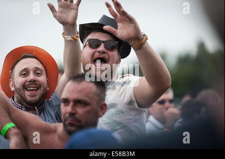 FestivalbesucherInnen amüsieren sich auf dem Festival in Brentwood. Stockfoto