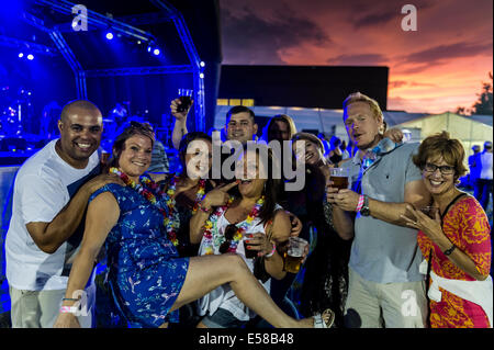 FestivalbesucherInnen amüsieren sich auf dem Festival in Brentwood. Stockfoto