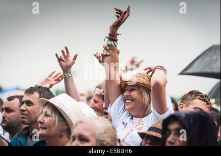 FestivalbesucherInnen amüsieren sich auf dem Festival in Brentwood. Stockfoto