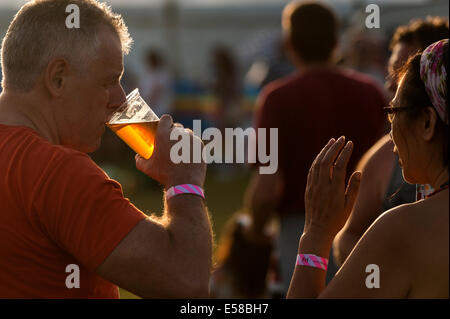 FestivalbesucherInnen amüsieren sich auf dem Festival in Brentwood. Stockfoto