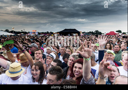 BesucherInnen auf dem Festival Brentwood amüsieren sich trotz des schlechten Wetters. Stockfoto