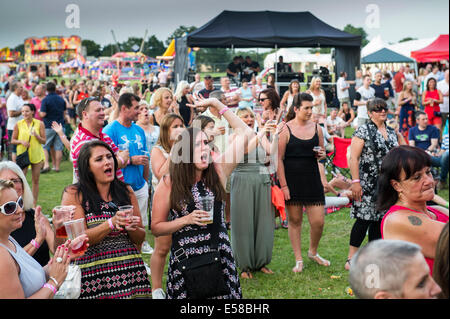 FestivalbesucherInnen amüsieren sich auf dem Festival in Brentwood. Stockfoto