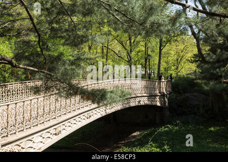 Kiefer Bank Bridge, Central Park, New York Stockfoto