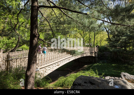 Kiefer Bank Bridge, Central Park, New York Stockfoto