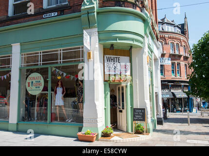 Weiße Rose im Bereich Hockley Nottingham City, England UK Stockfoto