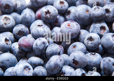 Nahaufnahme einer Schüssel Blaubeeren Stockfoto
