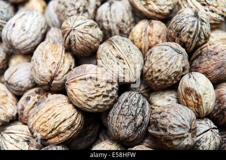 Frisch geerntete Walnüsse in Ettenheim, Süddeutschland, 23. Oktober 2012 Stockfoto