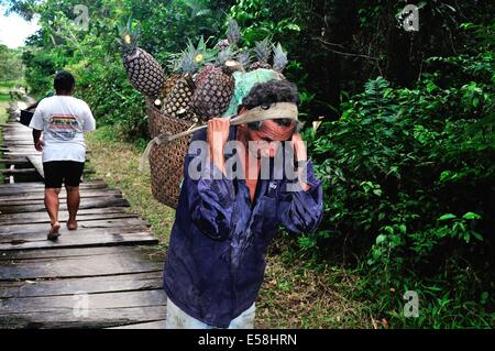 Verkauf von Ananas - traditionelle Brücke in DURCHGESCHWITZT. Abteilung von Loreto. Peru Stockfoto