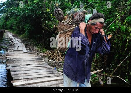 Verkauf von Ananas - traditionelle Brücke in DURCHGESCHWITZT. Abteilung von Loreto. Peru Stockfoto