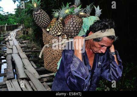 Verkauf von Ananas - traditionelle Brücke in DURCHGESCHWITZT. Abteilung von Loreto. Peru Stockfoto