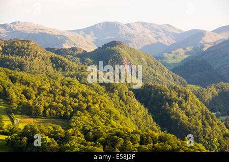 Woodland in Borrowdale im Abendlicht über Keswick, Lake District, Großbritannien. Stockfoto