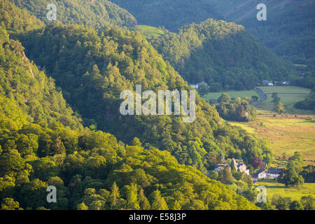 Woodland in Borrowdale im Abendlicht über Keswick, Lake District, Großbritannien. Stockfoto