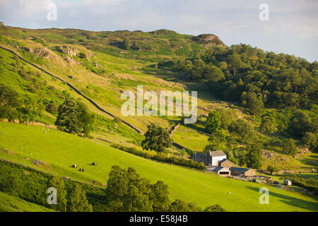 Ein Bergbauernhof oberhalb Borrowdale im Abendlicht in der Nähe von Keswick, Lake District, Großbritannien. Stockfoto