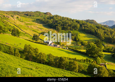 Ein Bergbauernhof oberhalb Borrowdale im Abendlicht in der Nähe von Keswick, Lake District, Großbritannien. Stockfoto