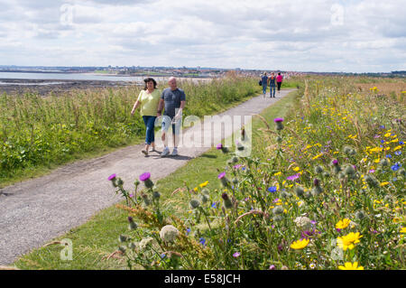 Paar zu Fuß entlang der Nordsee-Küste-Weg vorbei an Wildblumen in Nordostengland Whitburn, UK Stockfoto