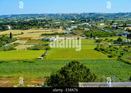 Italien Apulien Apulien Itria-Tal Locorotondo Blick auf die Stadt Locorotondo mit der Stadt von Martina Franca im Hintergrund Stockfoto