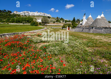 Italien-Apulien-Puglia-Itria-Tal Locorotondo Landschaft Stockfoto