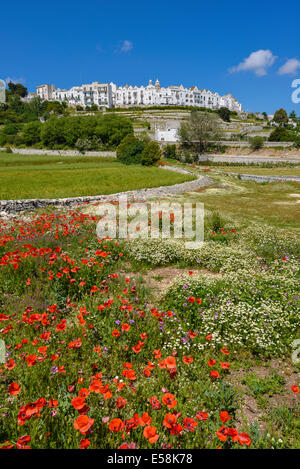 Italien-Apulien-Puglia-Itria-Tal Locorotondo Landschaft Stockfoto