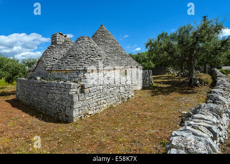 Italien Apulien Apulien Itria-Tal Locorotondo eine alte trulli Stockfoto