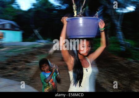 Verkauf von Ananas in DURCHGESCHWITZT. Abteilung von Loreto. Peru Stockfoto