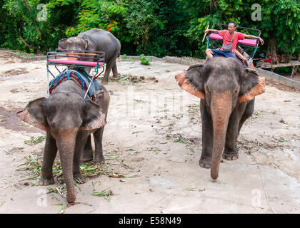 Mahout und seinen Elefanten warten zu Beginn der Touren mit Touristen am 23. Mai 2014 in Kanchanaburi, Thailand. Stockfoto