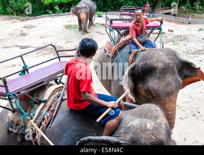 Mahout und seinen Elefanten warten zu Beginn der Touren mit Touristen am 23. Mai 2014 in Kanchanaburi, Thailand. Stockfoto