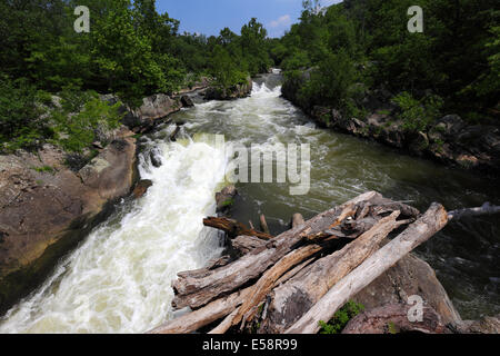 Baumstamm Flut Schutt in Side Channel Great Falls am Potomac River trennt Olmsted Insel vom Festland, Maryland, USA Stockfoto