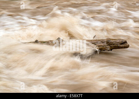 Melden Sie sich im Hurricane Creek, Wallowa Mountains, Oregon. Stockfoto