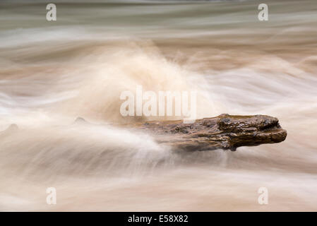 Melden Sie sich im Hurricane Creek, Wallowa Mountains, Oregon. Stockfoto