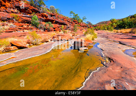 Palm Valley Central Australia Northern Territory Stockfoto