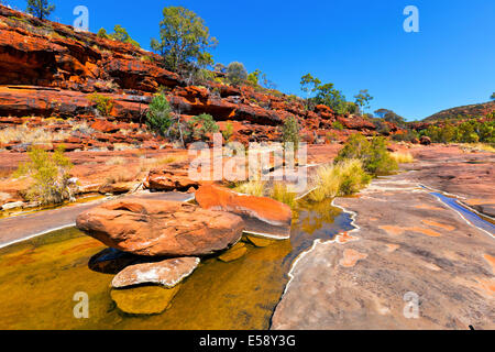 Palm Valley Central Australia Northern Territory Stockfoto