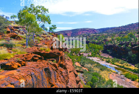 Palm Valley Central Australia Northern Territory Stockfoto