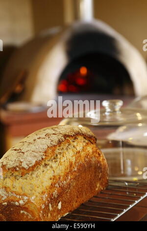 Frisch gebackene gekochten Brotlaib kühlt nach dem Kochen in einem Holzofen. Stockfoto