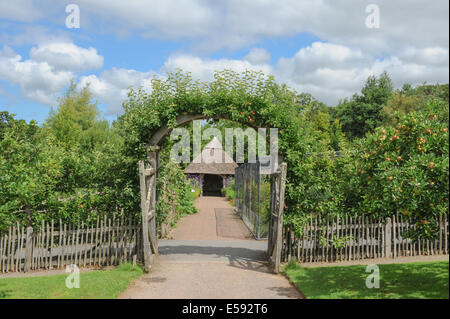 Eine traditionelle englische Obst- und Gemüsegarten am Rosemoor, Torrington, Devon, Südwestengland, UK Stockfoto