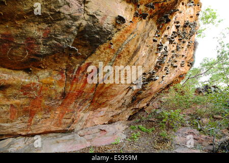 Einheimischen Aborigine-Felskunst - Kununurra, Westaustralien. Stockfoto