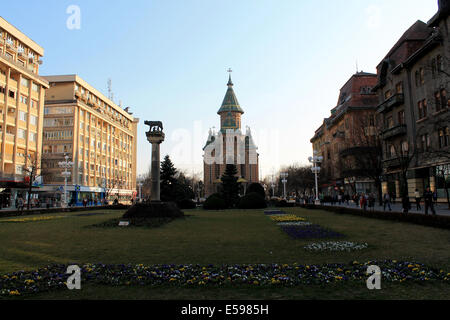 Orthodoxe Kathedrale und die Kapitolinischen Wolf in Timisoara, Rumänien Stockfoto