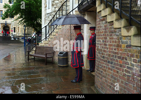 Der Tower of London, City of London, London, England, UK. Juli 2014 Stockfoto