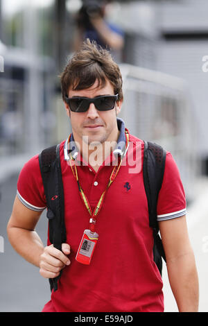 Budapest, Ungarn. 24. Juli 2014. FERNANDO ALONSO Spanien und Scuderia Ferrari sieht man im Fahrerlager während der Vorbereitungen des Formel 1 ungarischen Grand Prix 2014 auf dem Hungaroring in Budapest, Vereinigtes Königreich. Bildnachweis: James Gasperotti/ZUMA Draht/Alamy Live-Nachrichten Stockfoto
