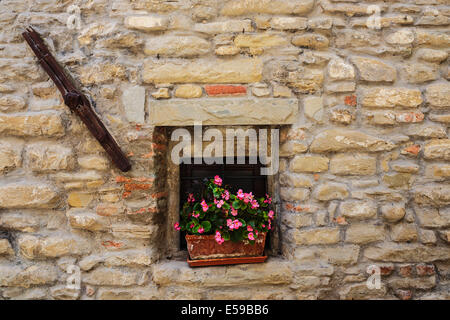 Fenster in einem alten Haus mit Blumentöpfen und Blumen geschmückt Stockfoto