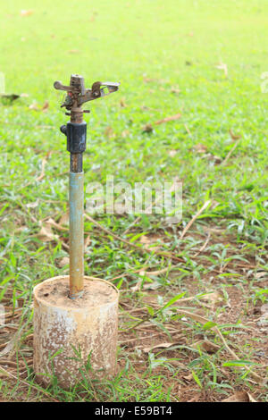 Springer für Wassereinspritzung Stockfoto