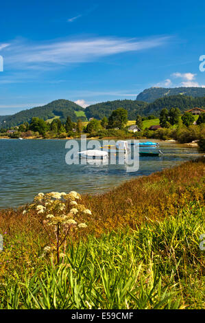 Boote auf dem See Lac de Joux in der Nähe von Le Pont, peak-Dent de Vaulion hinter, Kanton Waadt, Schweiz Stockfoto