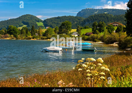 Boote auf dem See Lac de Joux in der Nähe von Le Pont, peak-Dent de Vaulion hinter, Kanton Waadt, Schweiz Stockfoto