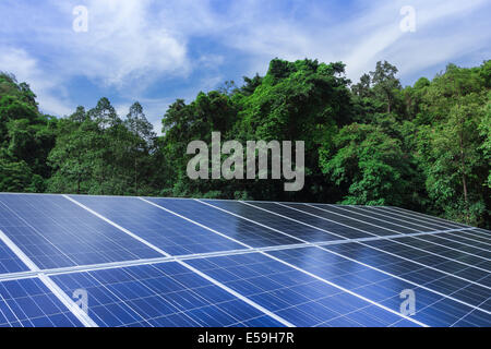 Solarzellenverkleidungen mit Bäumen und blauen Himmel Natur im freien Stockfoto