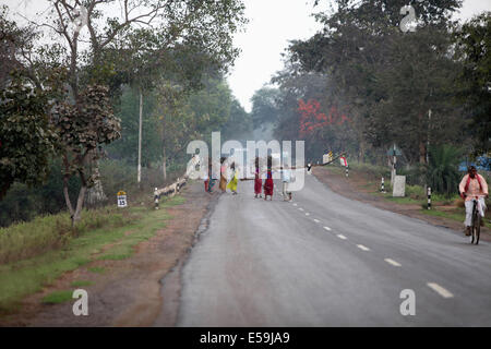 Stammes-Leute mit Brennholz. Bhunjiya Stamm, Kodopali Dorf, Chattisgadh, Indien Stockfoto