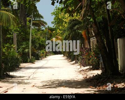 Straße auf Ambergris Caye, Belize Stockfoto