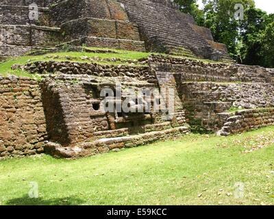 Jaguar-Kopf auf der Jaguar-Tempel von Lamanai in Belize Stockfoto